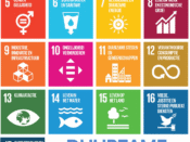 SDG