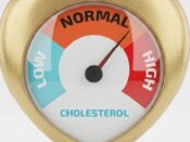 Cholesterol, goed of slecht?