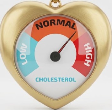 Cholesterol, goed of slecht?